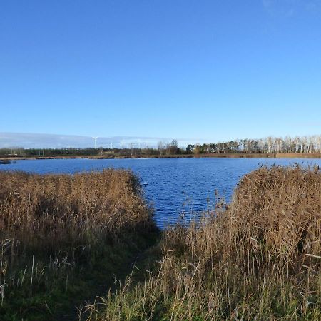 Uckermark "Ferienwohnung Sommerfugl " Passow  Ngoại thất bức ảnh