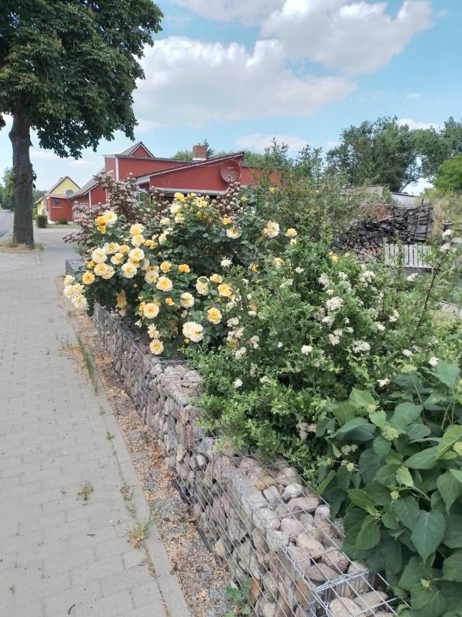 Uckermark "Ferienwohnung Sommerfugl " Passow  Ngoại thất bức ảnh
